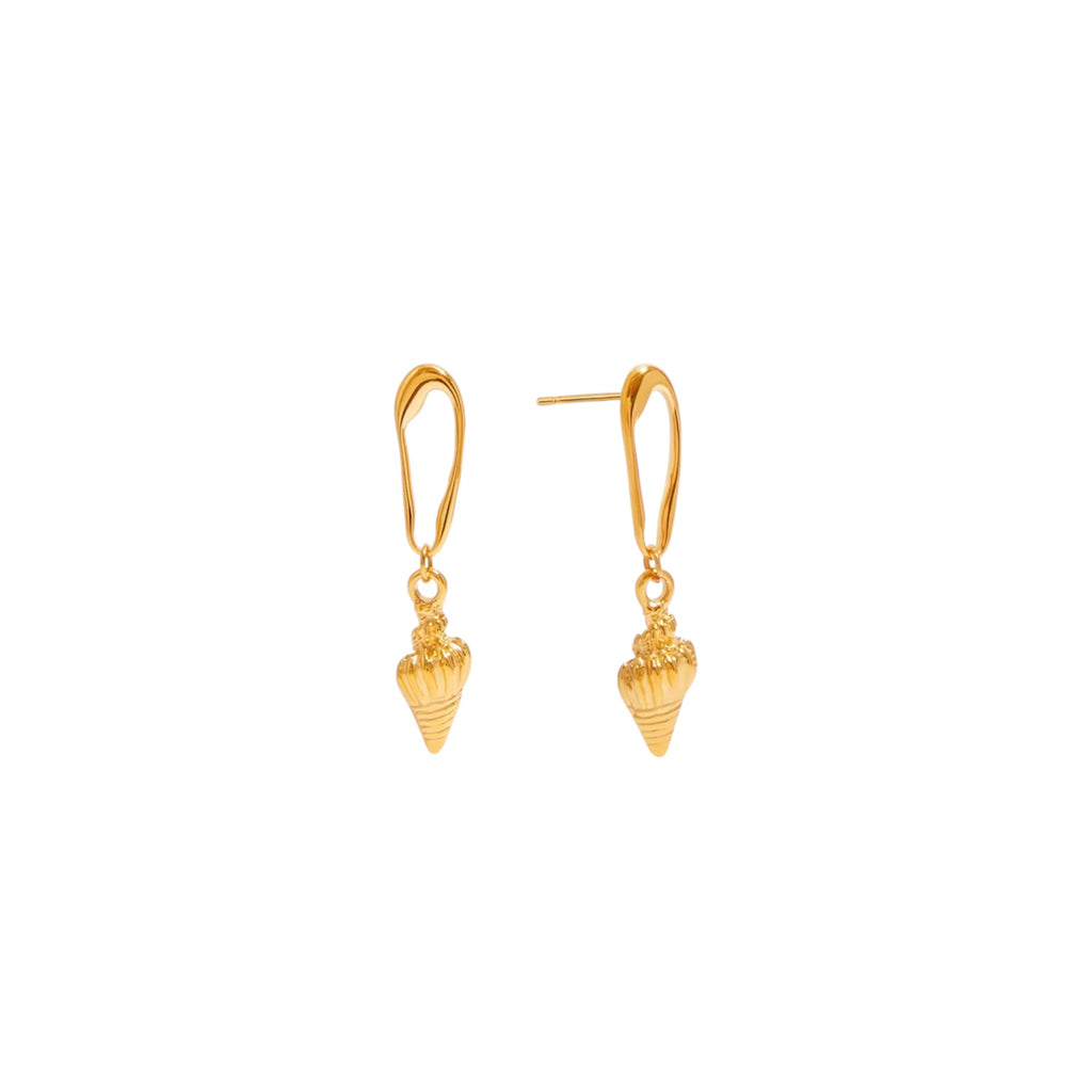 Conch earrings