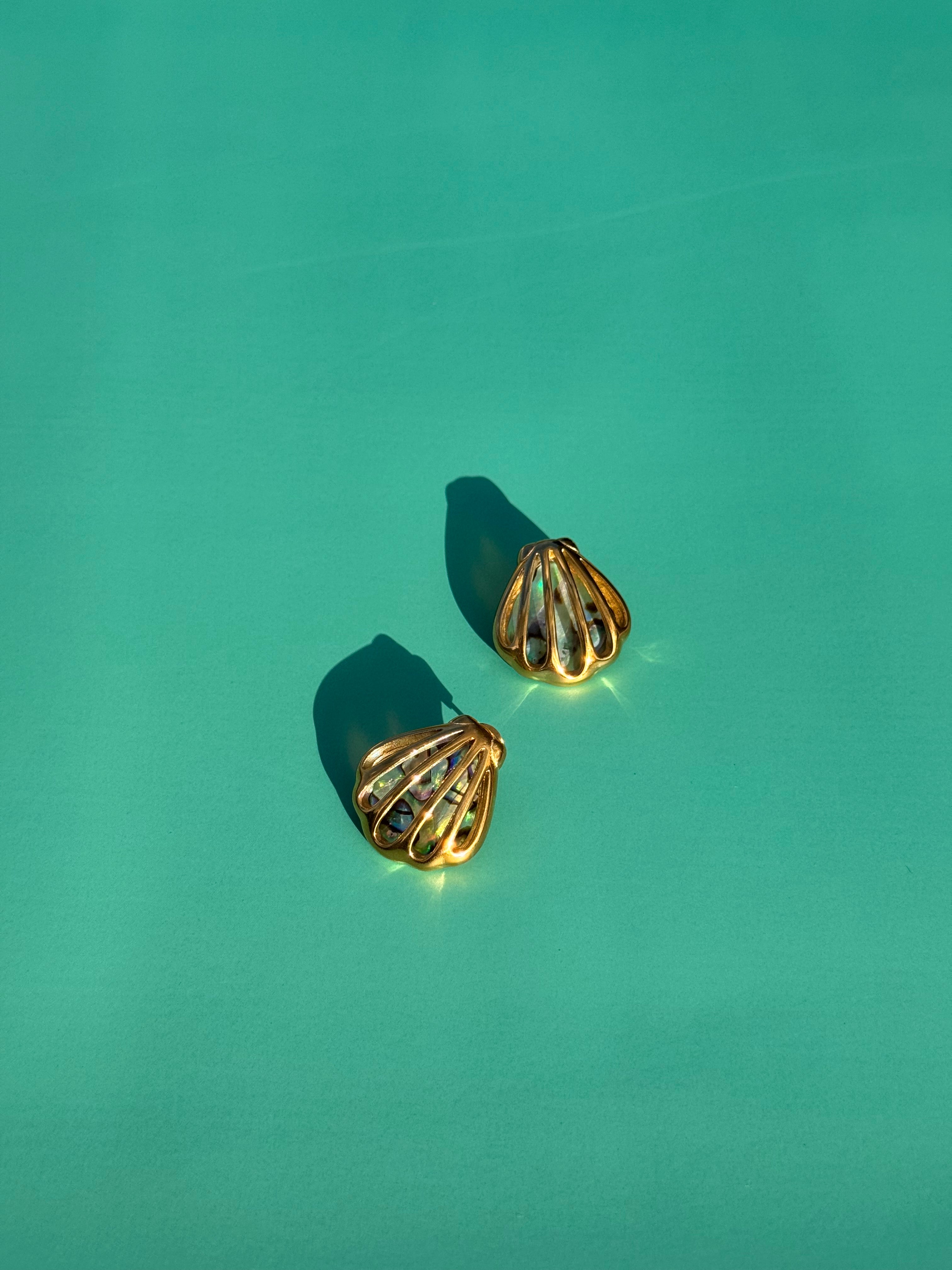 Clamshell Studs